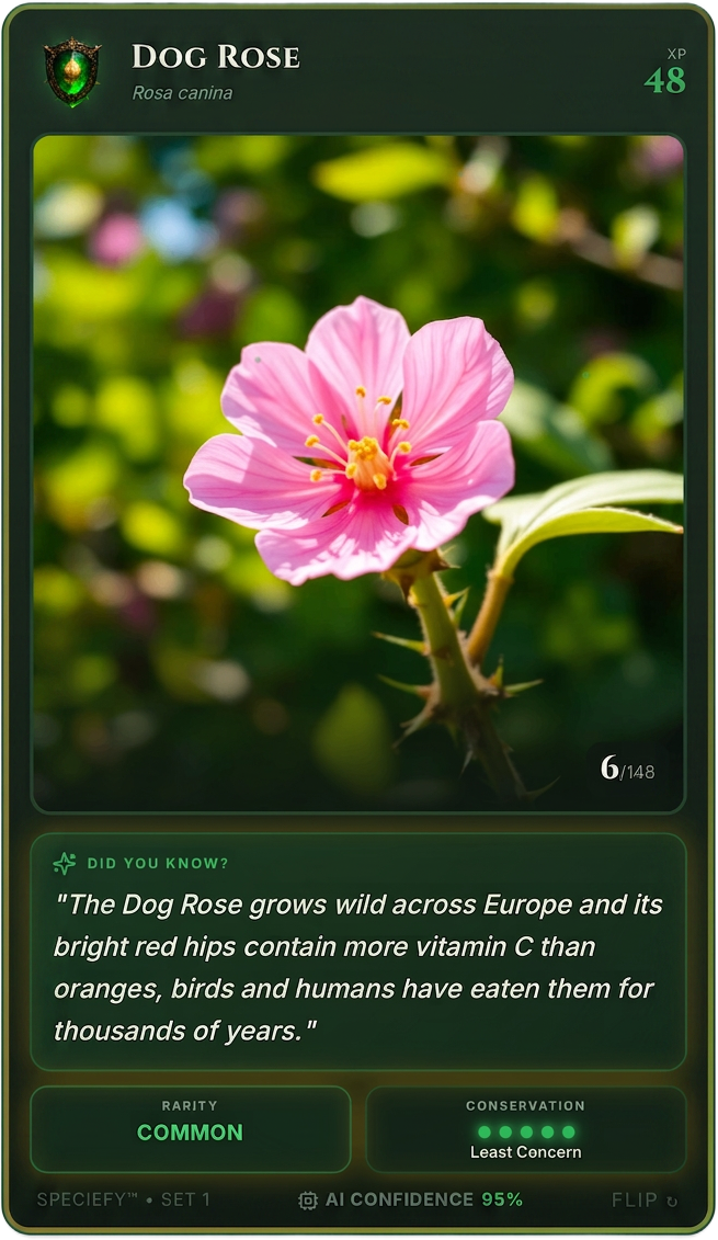 Speciefy app — Dog Rose collection card